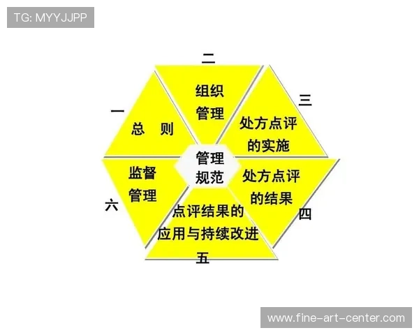 杭州排球队在精英赛中的团队协作表现分析与点评