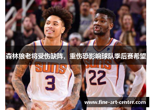 森林狼老将受伤缺阵，重伤恐影响球队季后赛希望